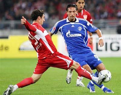 限制了葡萄 限制了葡萄