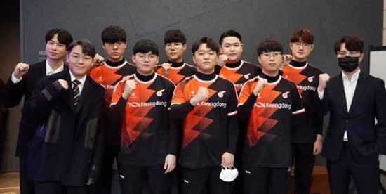 可能会选择 可能会选择