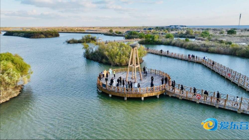 真正的高手 真正的高手